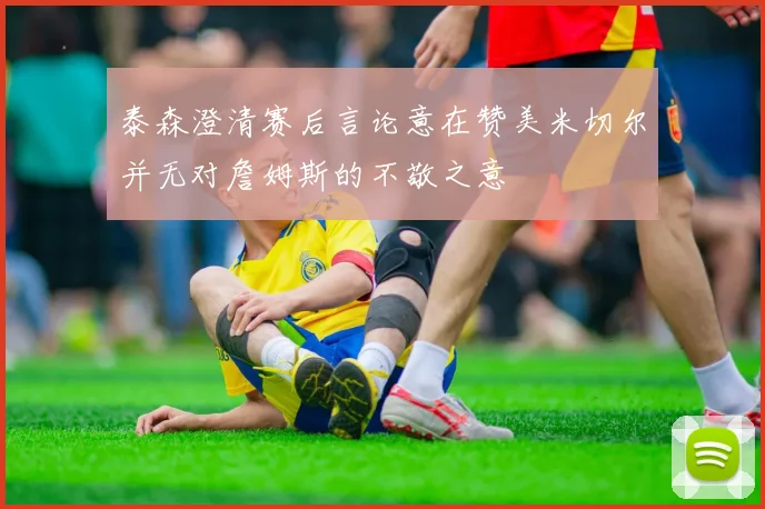 泰森澄清赛后言论意在赞美米切尔并无对詹姆斯的不敬之意