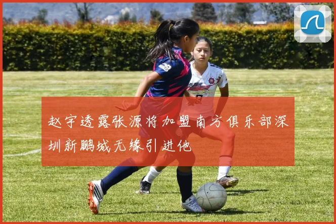 赵宇透露张源将加盟南方俱乐部深圳新鹏城无缘引进他